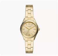 Reloj Ops! Mujer in Acero chapado en oro amarillo OPSPW-1084-3450 - OPSPW-1084-3450